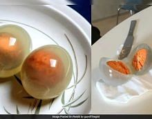 Penguin Eggs Turn Transparent When Boiled? What Science Says