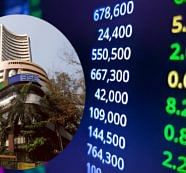 Stock In Focus: Promoters Pick Up Stake In Ashish Kacholia's Portfolio Specialty Chemical Stock; Do You Own?